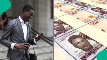 2026: Full list of 10 highest paying federal government jobs in Nigeria