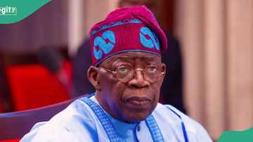 Tinubu ya kirkiro sabuwar ma'aikatar tarayya, ya kafa kwamitin kiwon dabbobi