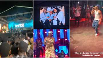 Davido fan concert: Zlatan Ibile, Mayorkun, Bella Shmurda, others storm event, pay touching tribute to Ifeanyi