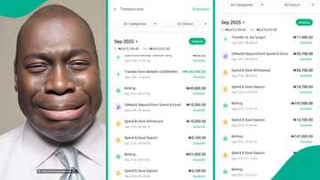 "Where's my money?" Influencer cries out as man begs for ₦2.2m in DM, squanders it all on betting