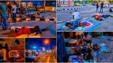 EndSARS protesters spend night in front of Lagos Assembly as they seek disbandment of police unit, heartwarming photos go viral