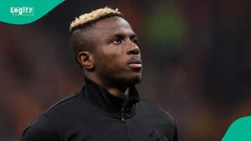 Victor Osimhen: Why Manchester United are no longer interested in Nigerian striker