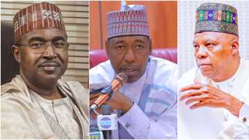 BREAKING: Vice President Shettima inaugurates NEDC board, details emerge