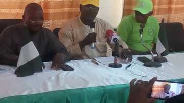 2023: Northern youth groups say south’s demand for power shift offensive