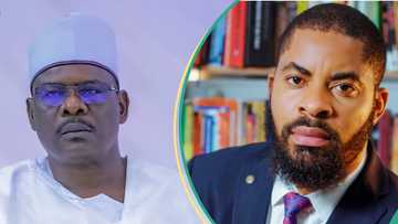 Deji Adeyanju sends crucial message to Senator Ali Ndume: "You've demonstrated rare courage"