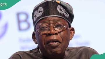 FG moves to secure fresh loans from World Bank worth over $500M, lists 2 projects
