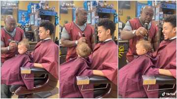 "He's good with kids": Video captures moment barber gives baby haircut, tries hard not to maintain eye contact