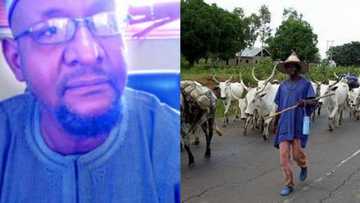 Anxiety as Fulani activist threatens to banish Yoruba from north