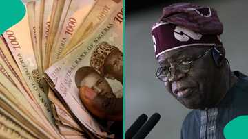 Hardship allowance for Nigerian president emerges amid new salary review for top office holders