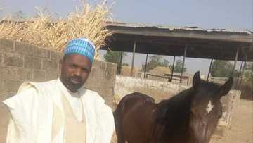 Yan bindiga sun kashe basarake sun kwashe iyalansa a jahar Katsina