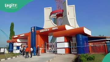 Tragedy as UNIZIK undergraduate falls from three-storey building, dies