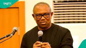 "Why top politicians do vote buying during elections": Peter Obi drops bombshell