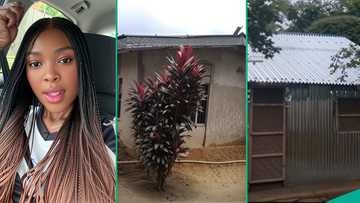 Lady shows video of “zinc” house she constructed after demolishing father’s building of 40 years