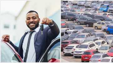 Full list: Best-selling car brands in the world as Innoson motors introduces drive now pay later for Nigerians