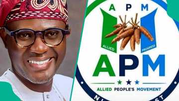 2027 Election: Lagos needs a servant-leader, not another ruler, APM's Adeoye
