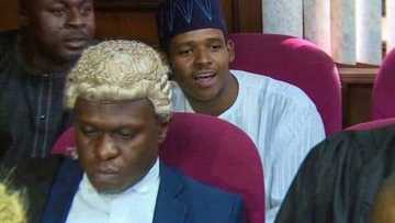 21-year-old son of Buhari's ex-appointee sentenced to 14 years in prison