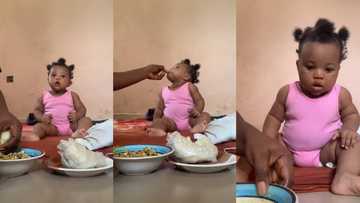 "She understands the economy": Newborn baby rejects akamu and milk, rrefers fufu, video goes viral on TikTok