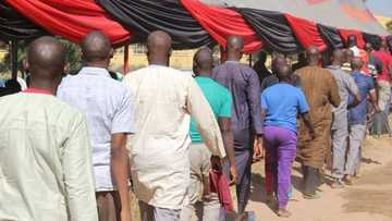 4 reasons why Boko Haram terrorists are surrendering enmasse