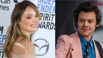 Harry Styles and Olivia Wilde spark dating rumours with new photos
