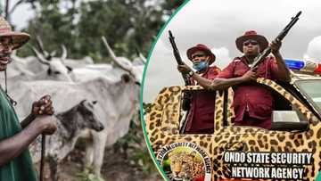 Tension in Ondo state as herdsmen attack Amotekun operatives, many wounded