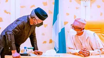 Did Osinbajo notify Buhari of his presidential ambition? Truth emerges at last