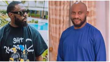 Talk to Yul directly, don't go through corners: Reactions as Timaya shares thoughts on polygamy