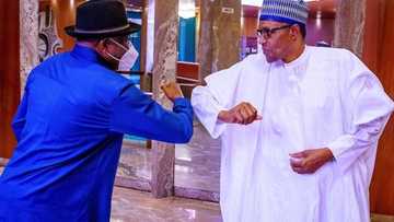 Zaben shugaban ƙasa 2023: Magoya bayan Buhari na son Jonathan ya dawo mulki
