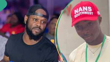"Don't polarise student body", NANS kicks as Seyi Tinubu allegedly backs Senate presidential aspirant