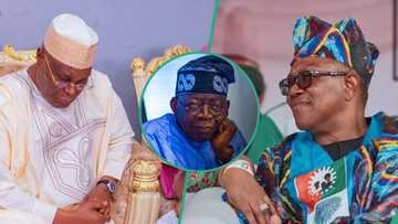 “2 reasons Peter Obi, Atiku’s coalition will fail”: VDM predicts, names who’ll betray them