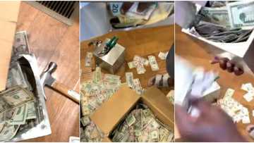 Nigerian man shows off whooping amount of dollars he saved in piggy bank for 6 months, many react to video