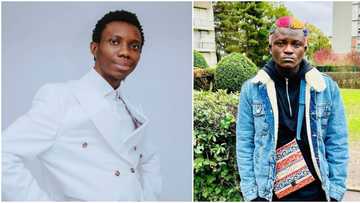 "Best way to avoid wahala": Reactions as Blaqbonez issues warning after being compared to Portable Zazu