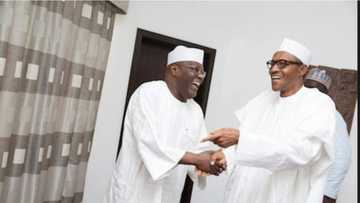 Cin hanci ya samu karin matsayi a gwamnatin Buhari - Atiku