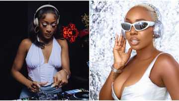 “Women supporting women in the Mud”: Fans react to DJ Barbie for calling BBNaija star TolaniBaj a riff-raff