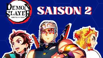 Demon Slayer saison 2 : ce qu'il faut savoir sur la saison enfin sortie