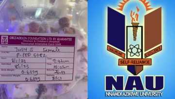 Tana neman tallafi: Lakcara a Najeriya ta haifi jarirai 5, ana binta kudin jinya N19m