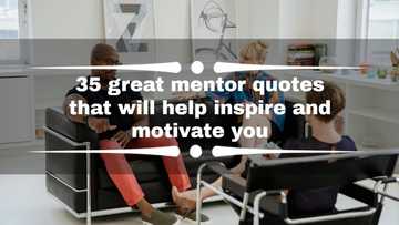 35 great mentor quotes that will help inspire and motivate you