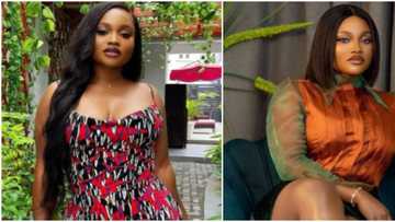 BBNaija JMK speaks following fire incident: I'm determined to pick up the pieces and rebuild