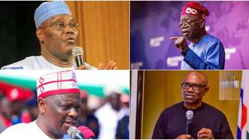 Tinubu, Obi: Why Nigerian politicians rush to Chatham House, top political analyst gives strong reason