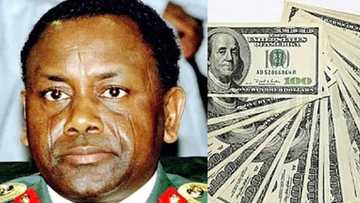 FG set to receive more Abacha assets as Ireland prepares to return €5.5m kept by ex-leader in Dublin