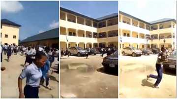Students run for safety as SS2 students allegedly bring tear gas, guns to fight SS3 in Port Harcourt school (video)