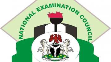 Announcement! NECO begins 2022 common entrance registration