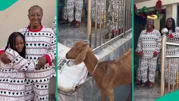 Ada Kirikiri surprises Patience Ozokwo with bag of rice, goat on movie set, video warms hearts