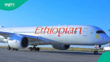 A gano jirgin da ya ɗauko mai ɗauke da cutar Ebola daga ƙasar waje ya shigo da ita Najeriya