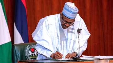Jerin 'yan siyasa 8 da Buhari ya umarci a warewa kashi 10% na guraben ayyuka 774,000 da za a dauki matasa