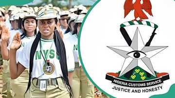 NYSC discharge certificate number: all you need to know