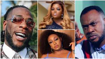 Google Trends Turns 15, Reveals Nigeria’s Top Searches Over the Past Decade and a Half