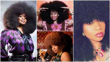 Woman with biggest afro in the world breaks record with her full beautiful hair