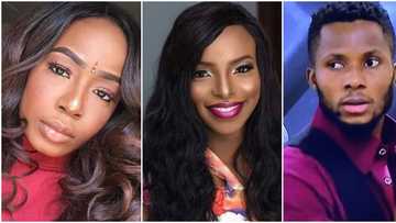 BBNaija: Shock as Tolani Baj, Wathoni and Brighto get evicted from the house