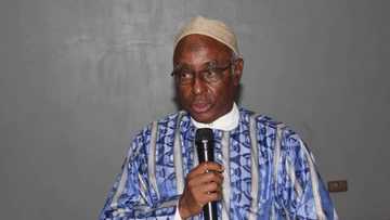 Halal industry: Nigeria eyes $150bn foreign investment from Middle East on Islamically alllowed products