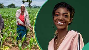 Agric expert Sharon Idahosa details how Nigeria can grow more food, reduce prices